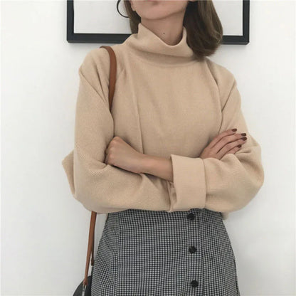 Maglia dolcevita Aniska